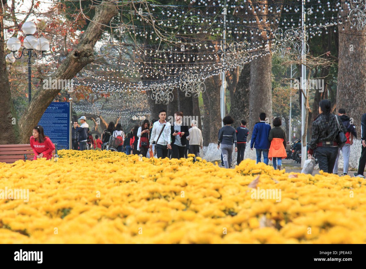 Near Vs Mikasa Ackerman Who Would Win: A Detailed Strength Comparison